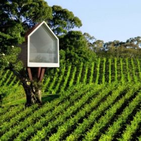 Da scarti provenienti dalle lavorazioni dell’agricoltura tipica toscana a materiali per costruire e arredare le case, con guadagni per i produttori e per l’ambiente: torna a Firenze l’appuntamento con Agritettura, un’iniziativa curata dalla commissione Das (dibattito architettura sostenibile) dell’Ordine degli architetti di Firenze che – dopo l’edizione del 2016 – si concentra quest’anno sull’utilizzo degli scarti provenienti dall’agroalimentare in architettura, attraverso filiere di trasformazione nella visione più ampia di economia circolare.
