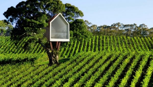 Da scarti provenienti dalle lavorazioni dell’agricoltura tipica toscana a materiali per costruire e arredare le case, con guadagni per i produttori e per l’ambiente: torna a Firenze l’appuntamento con Agritettura, un’iniziativa curata dalla commissione Das (dibattito architettura sostenibile) dell’Ordine degli architetti di Firenze che – dopo l’edizione del 2016 – si concentra quest’anno sull’utilizzo degli scarti provenienti dall’agroalimentare in architettura, attraverso filiere di trasformazione nella visione più ampia di economia circolare.