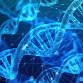 epigenetica